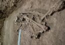 Hace 31.000 años se realizó la primera amputación quirúrgica, señala el estudio a un esqueleto