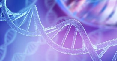 ¿Quieres entender qué es el ADN? Aquí te lo explicamos