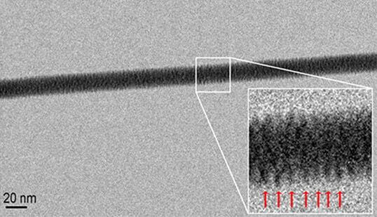 Primera imagen real del ADN obtenida a través de la técnica de microscopía electrónica de transmisión