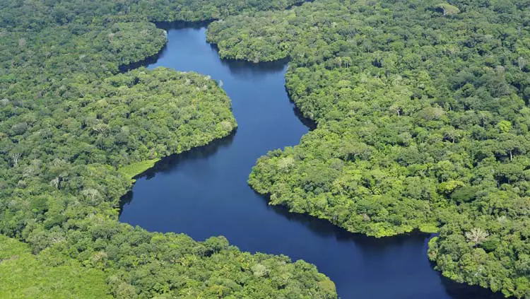 Amazonía en Sudamérica