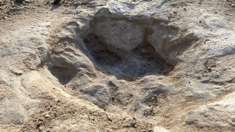 Huella de la pata de un dinosaurio en una piedra