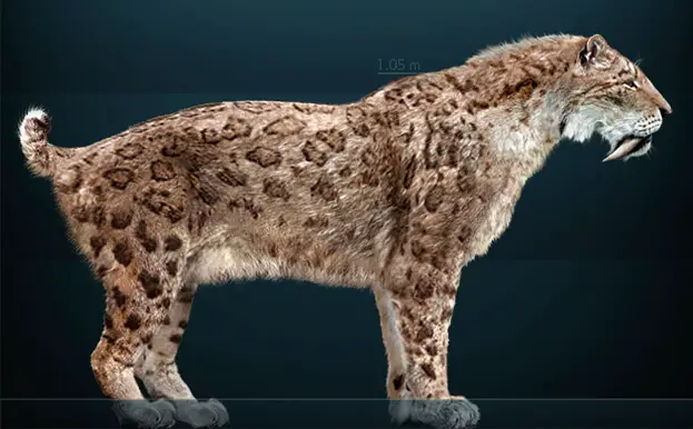 Reconstrucción de un Smilodon fatalis, un antepasado de los felinos actuales que vivió durante el Plioceno