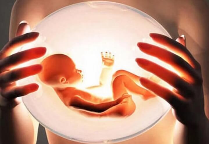 Ilustración de un embrión artificial de ser humano