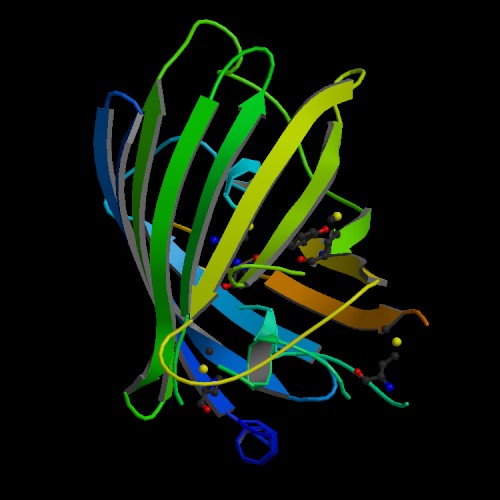 Estructura de la proteína verde fluorescente GFP