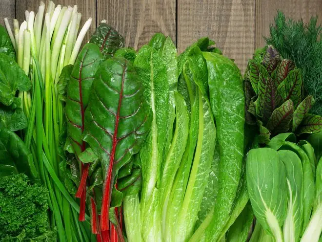 verduras de hoja verde para mejorar la salud