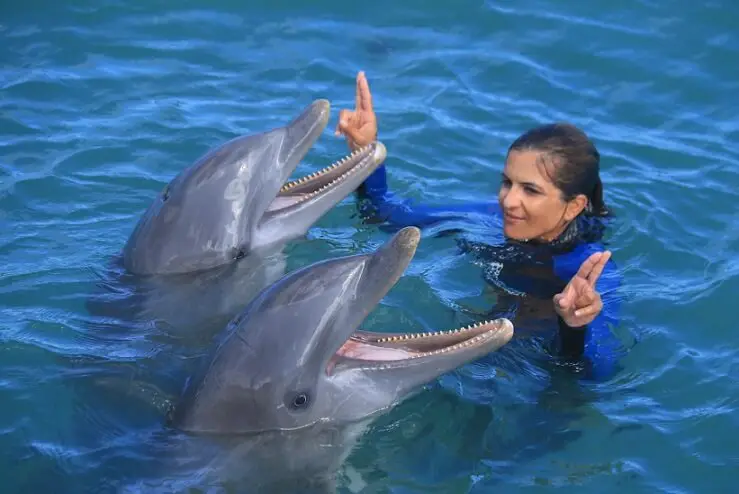entrenadora con dos delfines