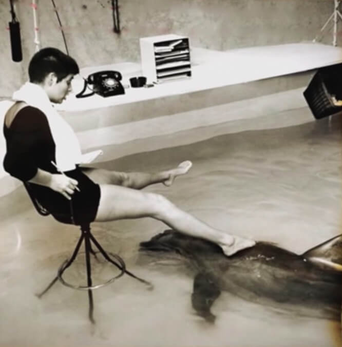 Mujer con delfín en piscina