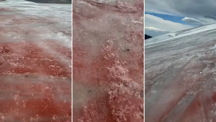 imágenes de la tonalidad rojiza de los glaciares Aktru en Rusia