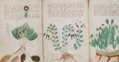 El Manuscrito Voynich: El libro más extraño del mundo escrito en un lenguaje que no existe y con información hasta ahora no descifrada