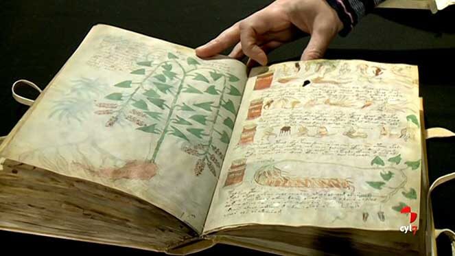 Manuscrito de Voynich, el libro más misterioso del mundo