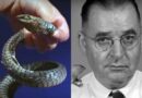 Karl P. Schmidt investigador mordido por serpiente