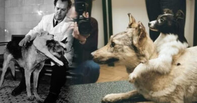 La historia del médico soviético que levantó polémicas por sus experimentos con perros de dos cabezas