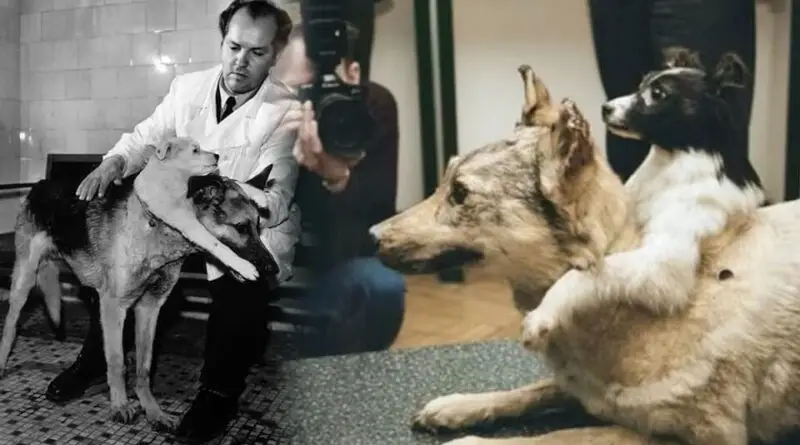 La historia del médico soviético que levantó polémicas por sus experimentos con perros de dos cabezas